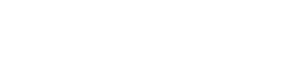 Digital Illustrator